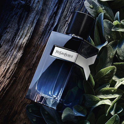 YSL Y EDP